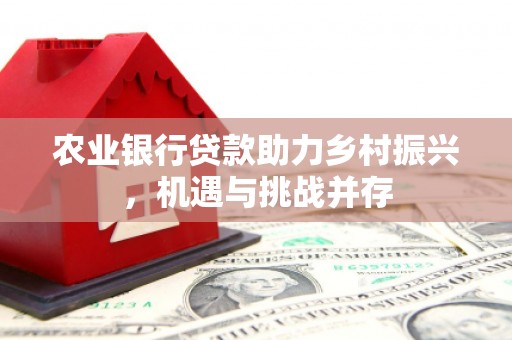 离岛农业银行贷款助力乡村振兴，机遇与挑战并存
