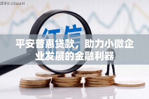 离岛平安普惠贷款，助力小微企业发展的金融利器