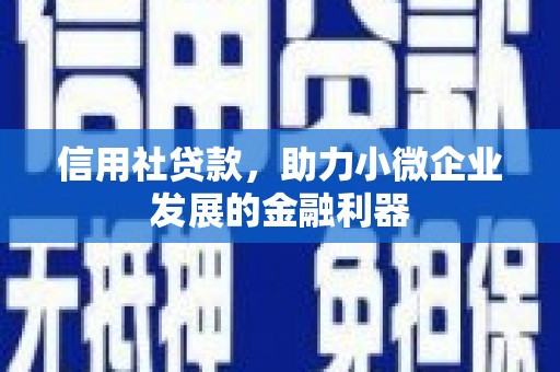 离岛信用社贷款，助力小微企业发展的金融利器