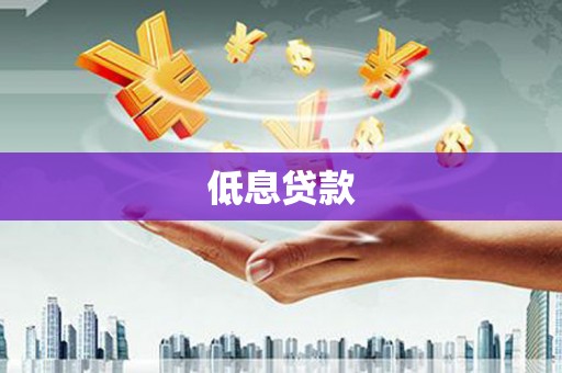 离岛低息贷款