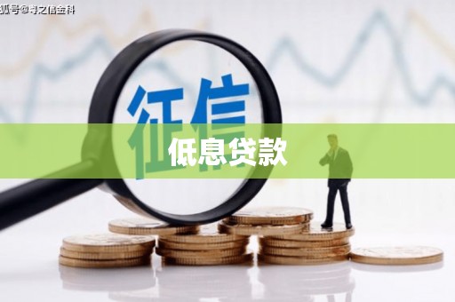 离岛低息贷款