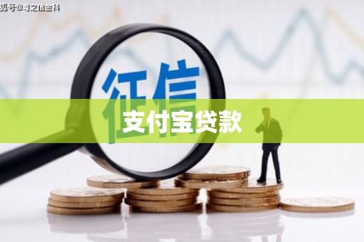 离岛支付宝贷款