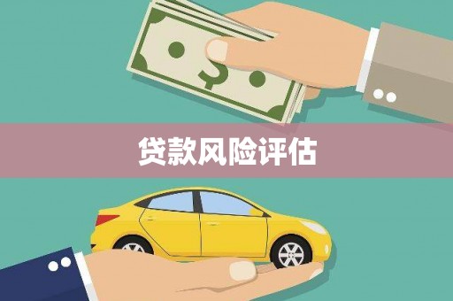 离岛贷款风险评估