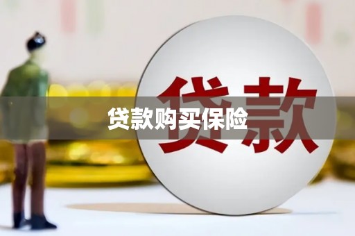 离岛贷款购买保险