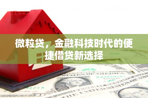 离岛微粒贷，金融科技时代的便捷借贷新选择