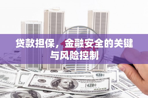 离岛贷款担保，金融安全的关键与风险控制