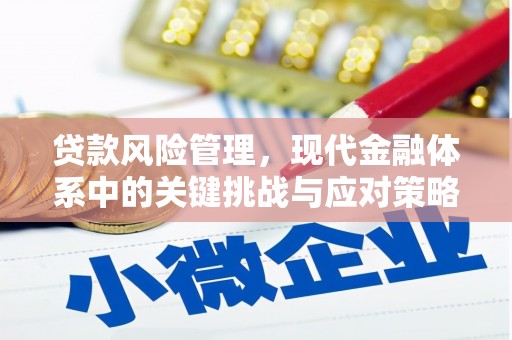 离岛贷款风险管理，现代金融体系中的关键挑战与应对策略