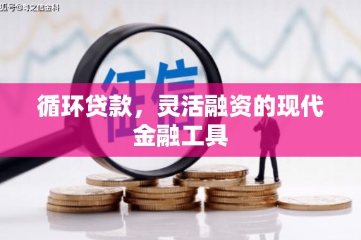 离岛循环贷款，灵活融资的现代金融工具