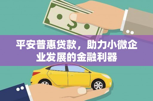 离岛平安普惠贷款，助力小微企业发展的金融利器