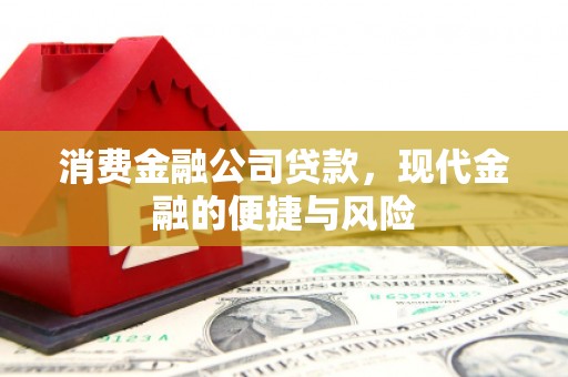 离岛消费金融公司贷款，现代金融的便捷与风险