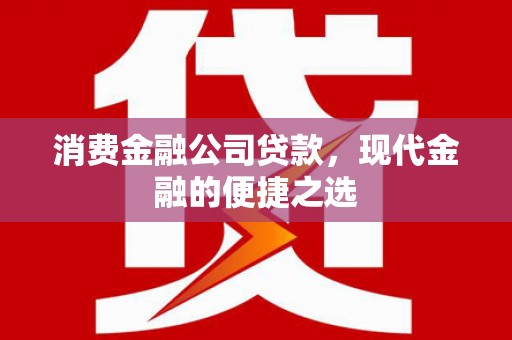 离岛消费金融公司贷款，现代金融的便捷之选