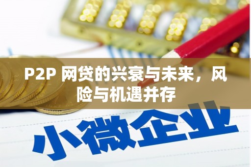 离岛P2P 网贷的兴衰与未来，风险与机遇并存